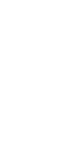badaxe foot animated